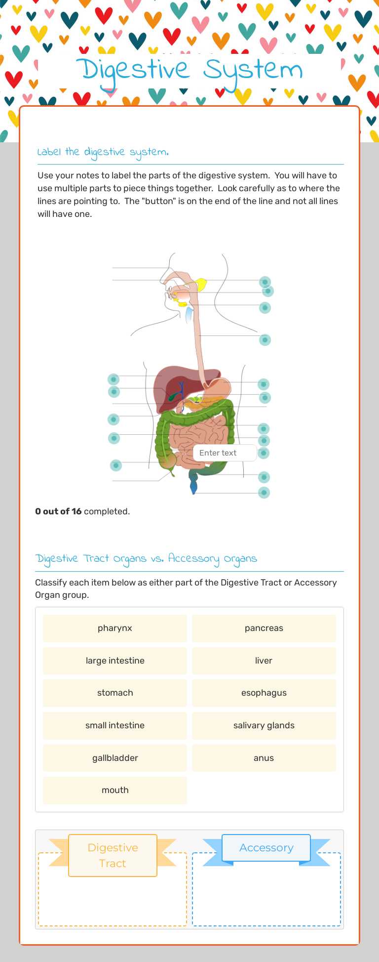 Digestive System worksheet preview image
