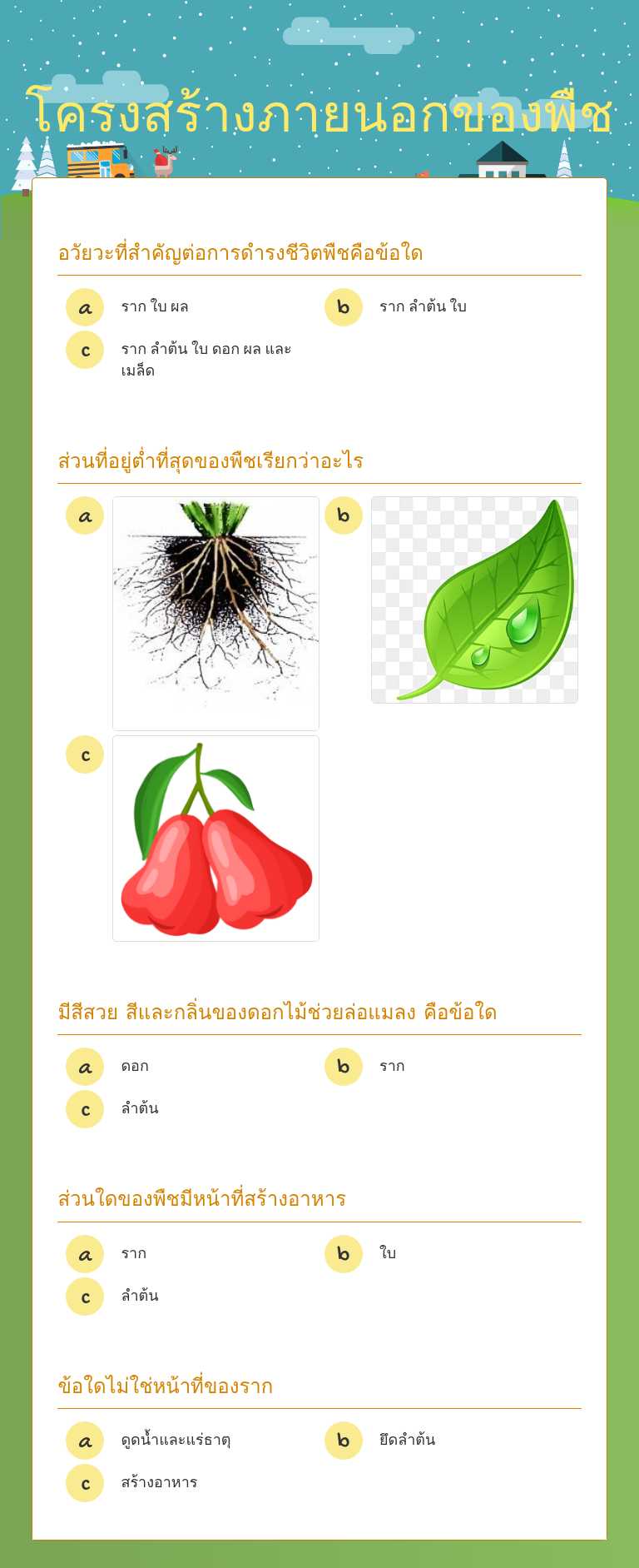 โครงสร้างภายนอกของพืช worksheet preview image