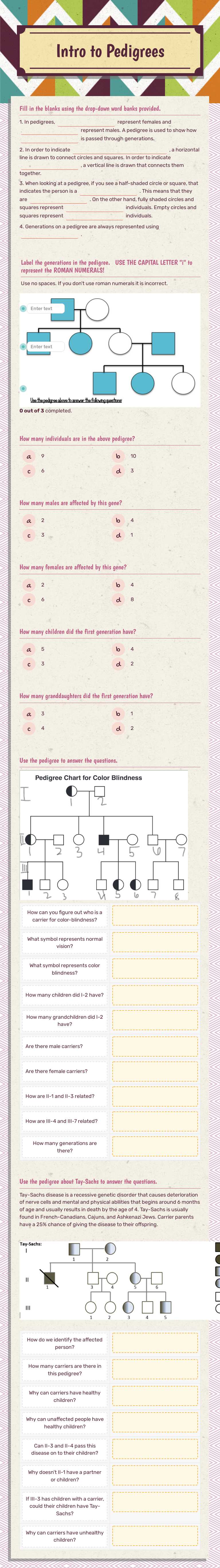 Intro to Pedigrees worksheet preview image