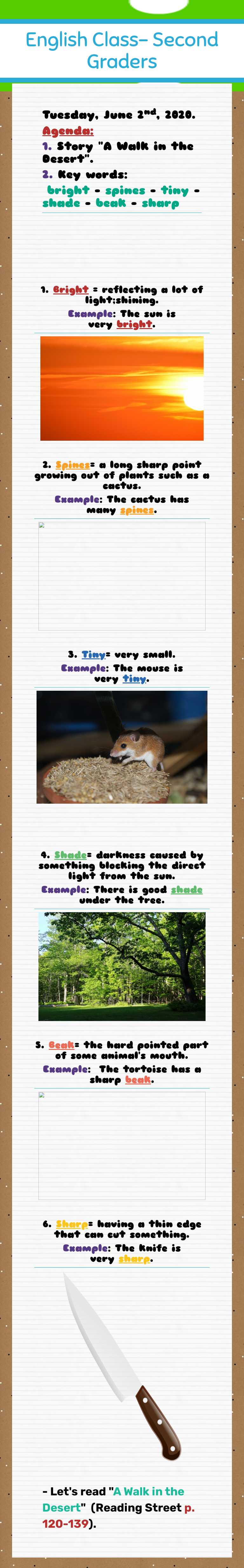 English Class- 
Second Graders worksheet preview image
