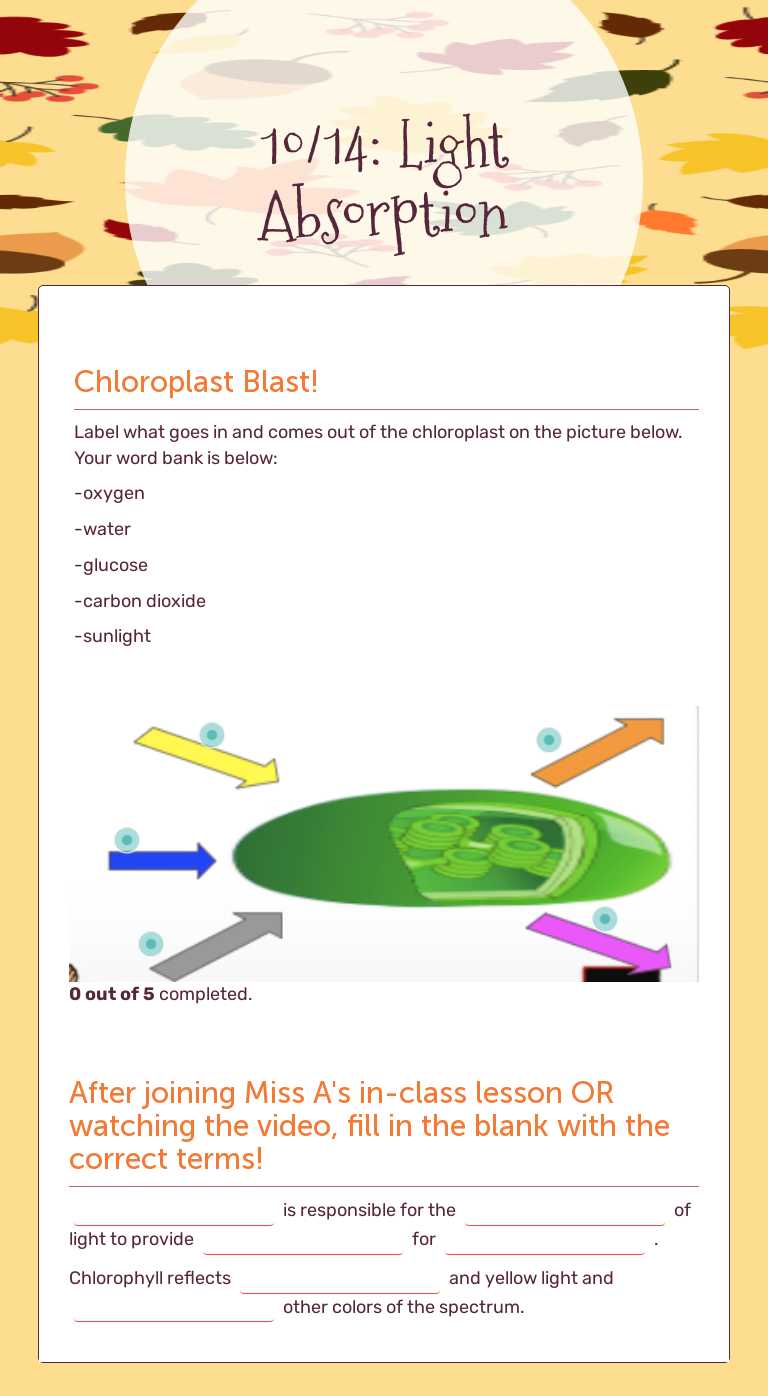 10/14:
Light Absorption Grade 5 worksheet preview