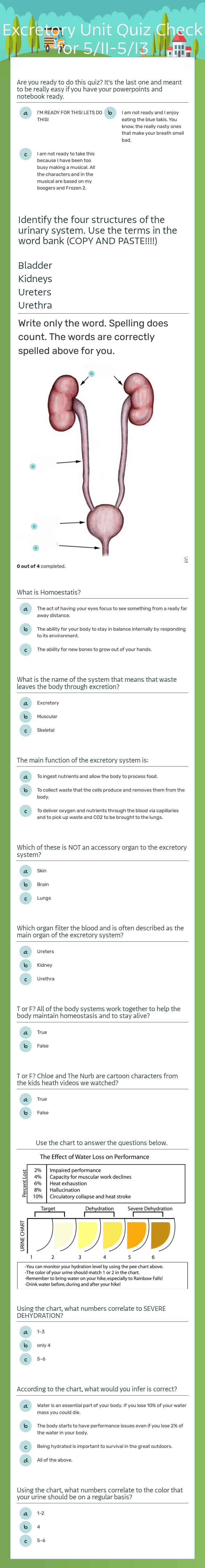 Excretory Unit Quiz Check for 5/11-5/13 worksheet preview image