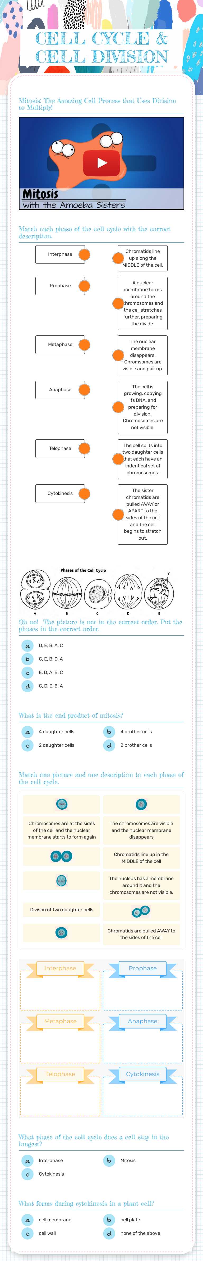 CELL CYCLE & CELL DIVISION worksheet preview image
