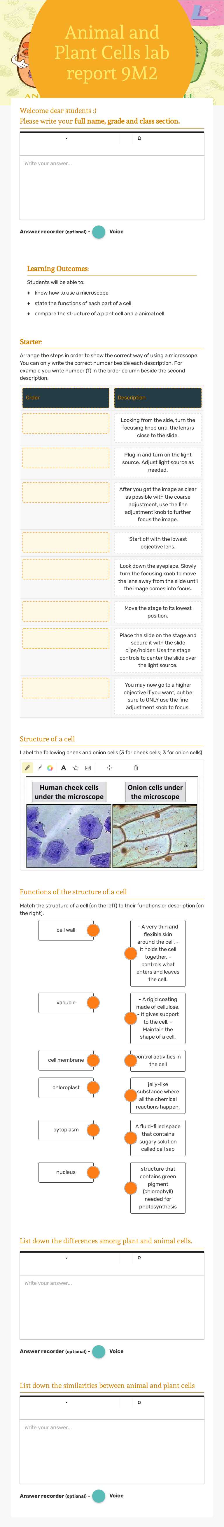 Animal and Plant Cells lab report 9M2 Grade 7 worksheet preview
