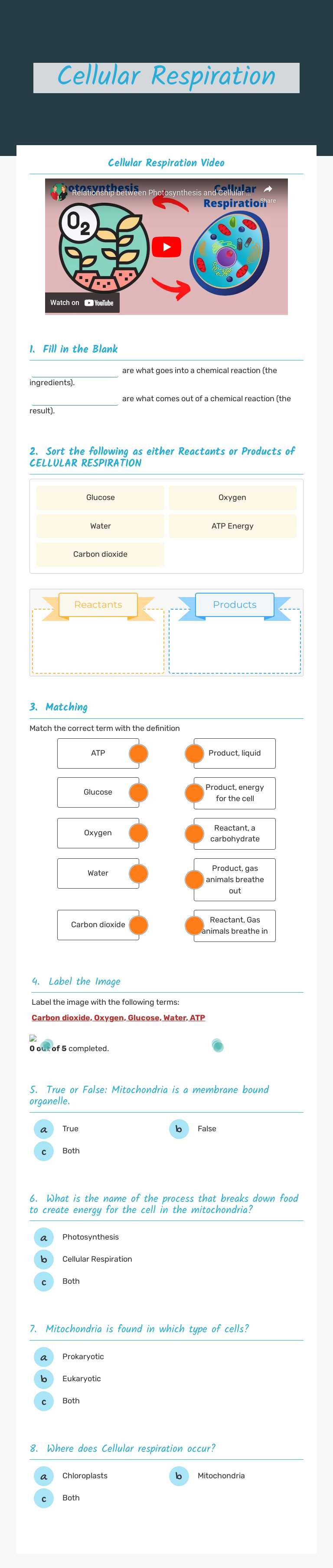 Cellular Respiration worksheet preview image