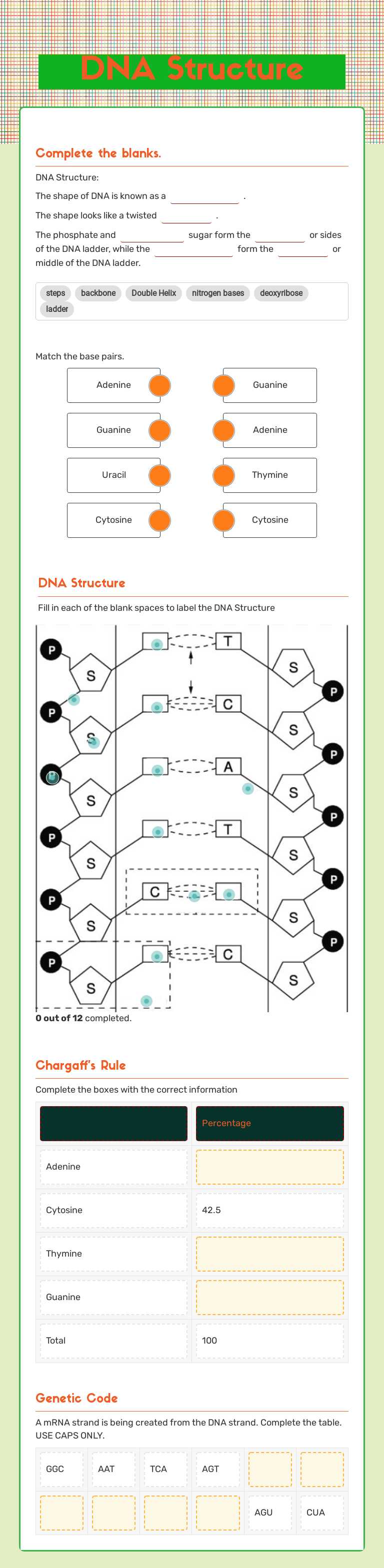 DNA Structure Grade 11 worksheet preview