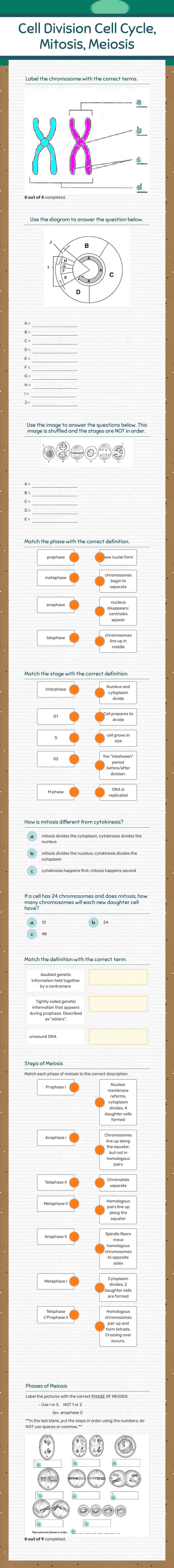 Cell Division
Cell Cycle, Mitosis, Meiosis Grade 10 worksheet preview
