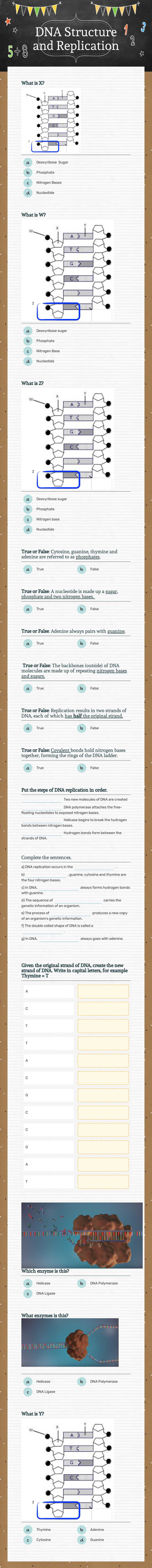 DNA Structure and  Replication Grade 9 worksheet preview