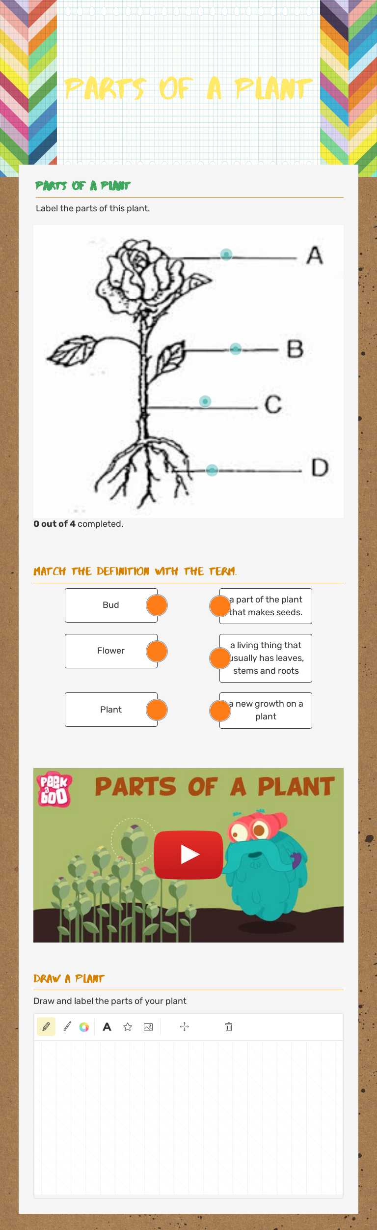 Parts of a plant Grade 1 worksheet preview