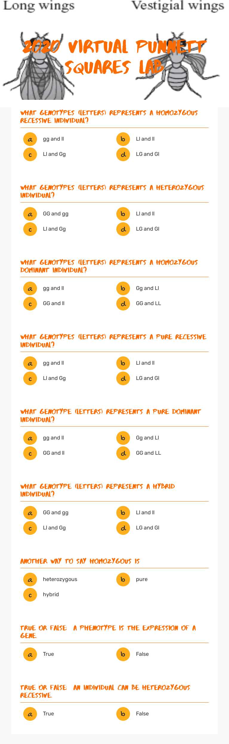2020 Virtual Punnett Squares Lab Grade 8 worksheet preview