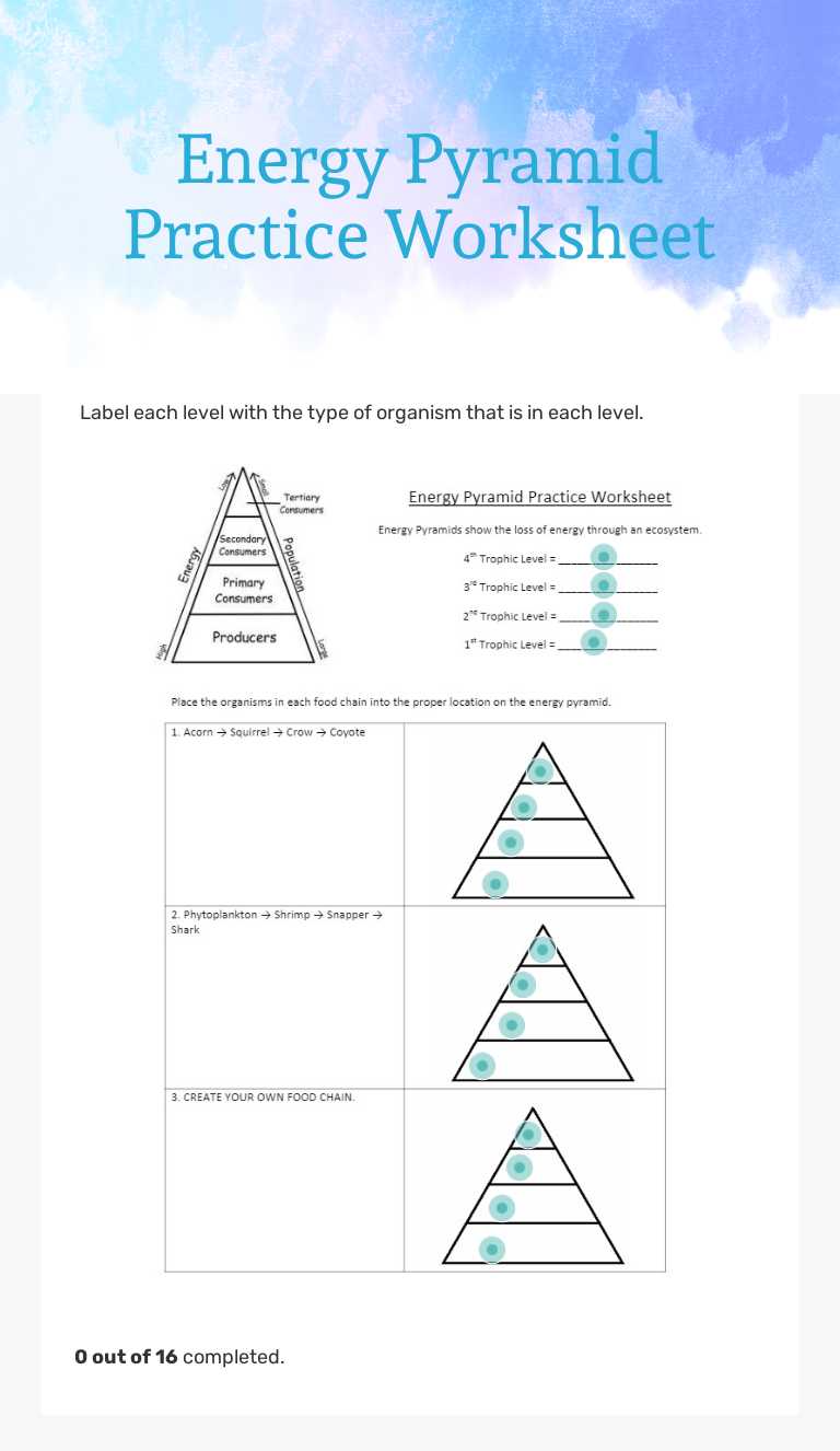 Energy Pyramid Practice Worksheet Grade 7 worksheet preview