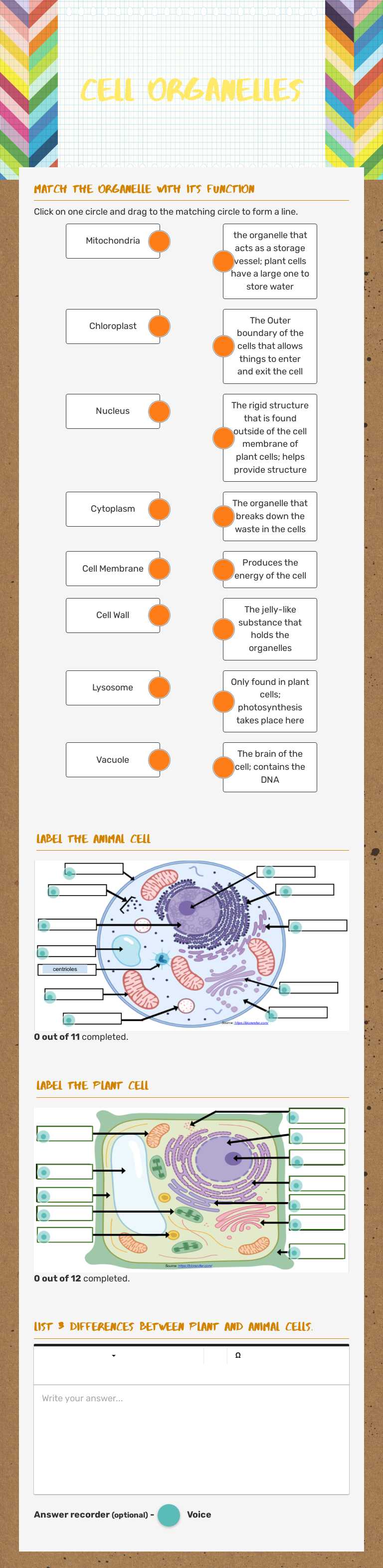 Cell Organelles Grade 7 worksheet preview
