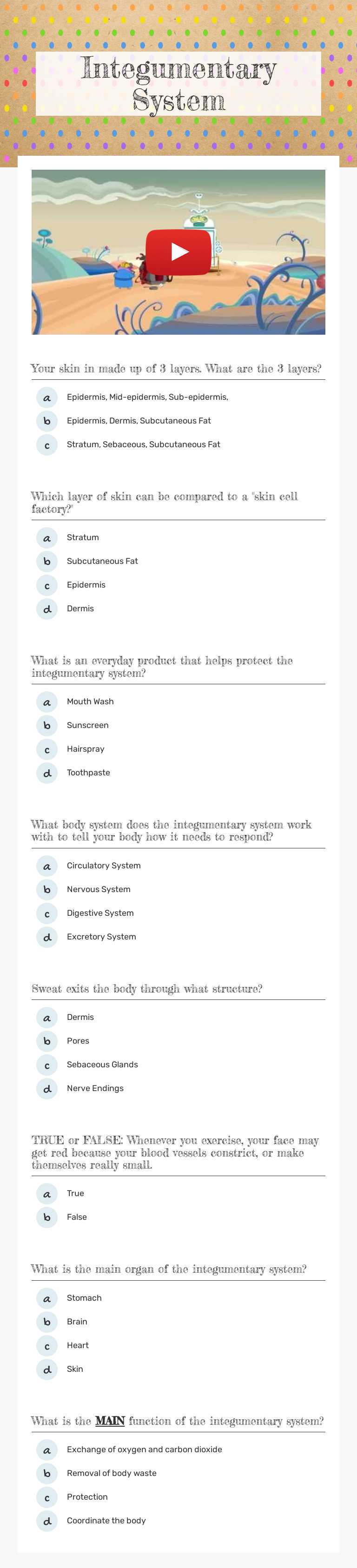 Integumentary System worksheet preview image