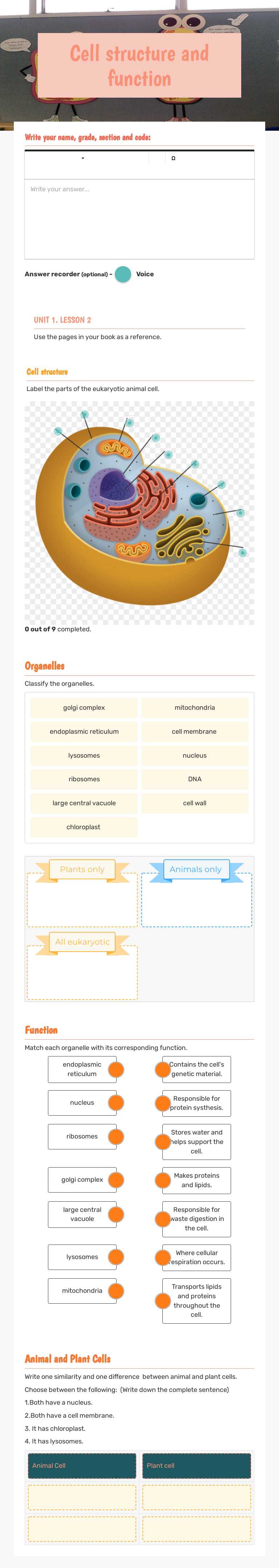 Cell structure and function by Anna Cherylle Ramos | Interactive ...