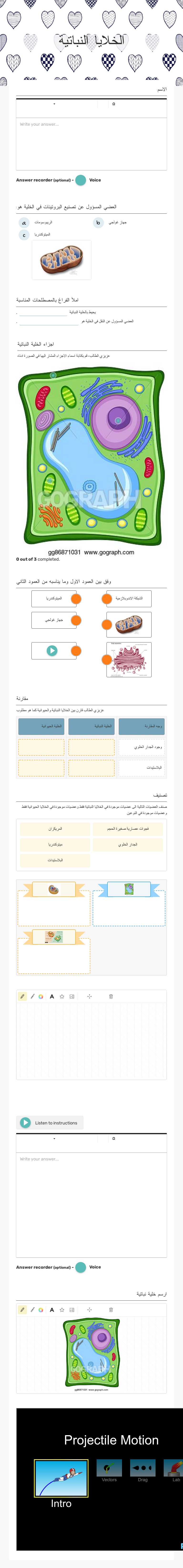 الخلايا النباتية worksheet preview image
