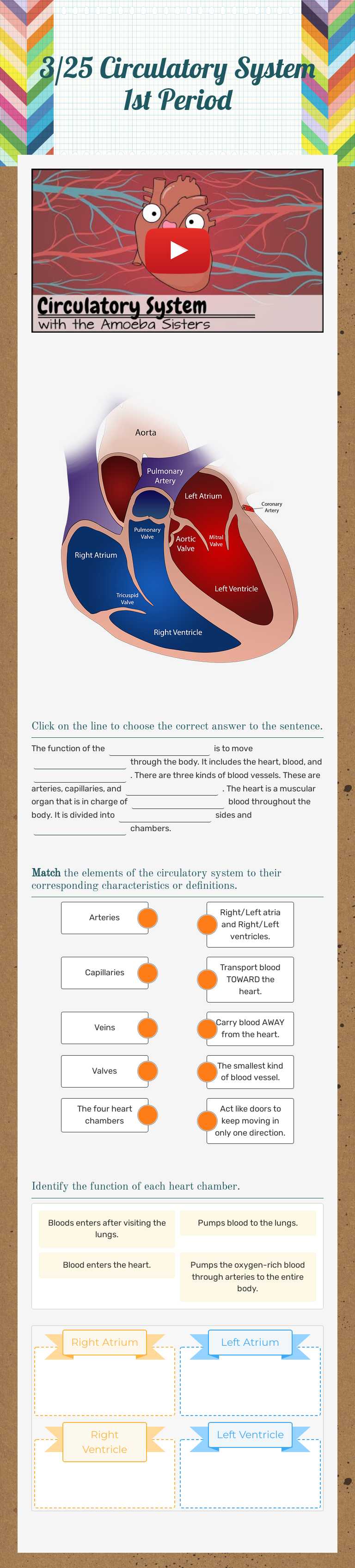 3/25 Circulatory System 1st Period worksheet preview image