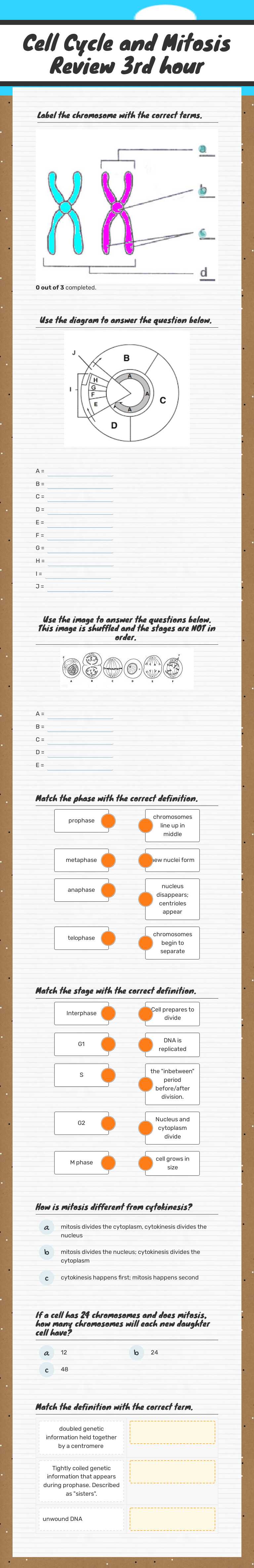 Cell Cycle and Mitosis Review 3rd hour worksheet preview image
