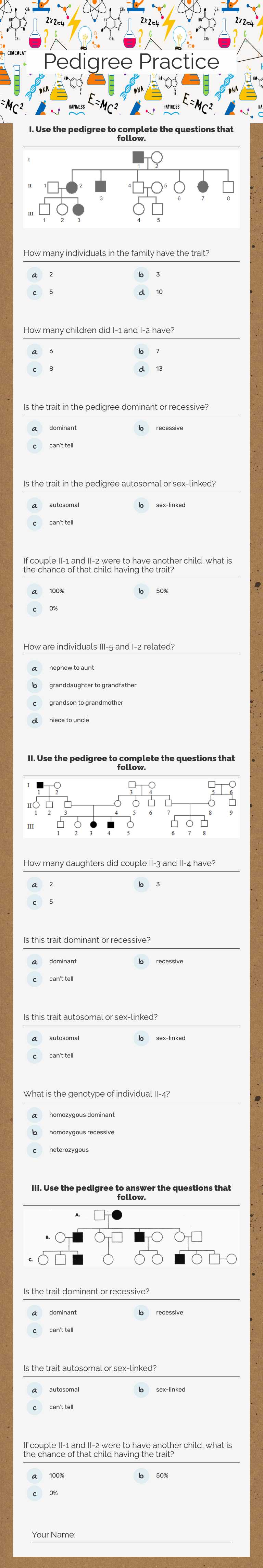 Pedigree Practice worksheet preview image
