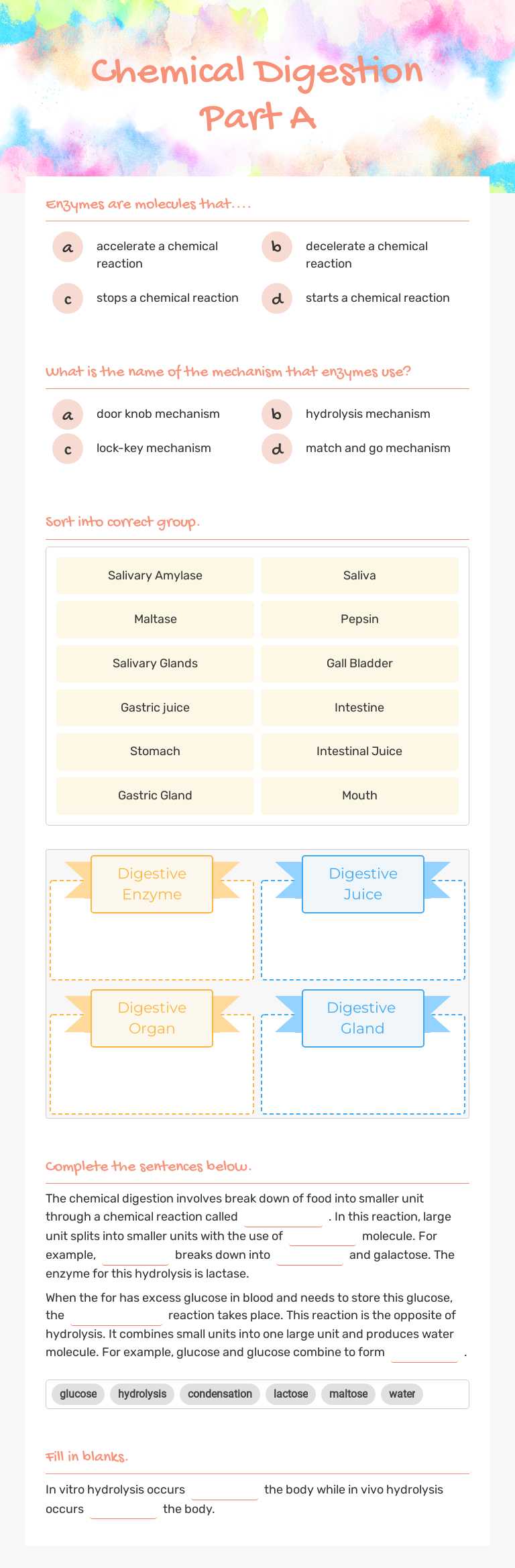 Chemical Digestion   Part A worksheet preview image