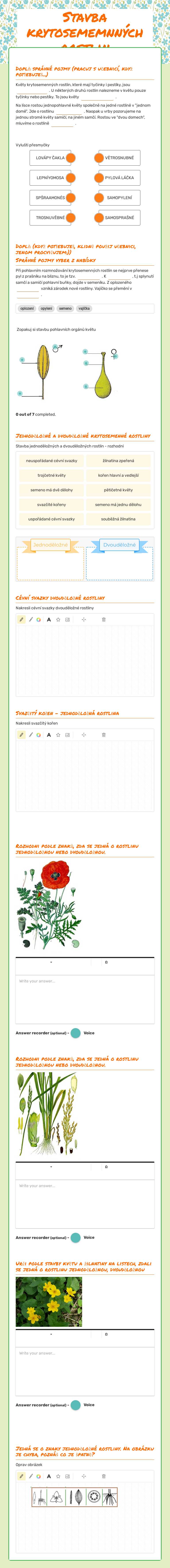Stavba krytosememnných rostlin worksheet preview image