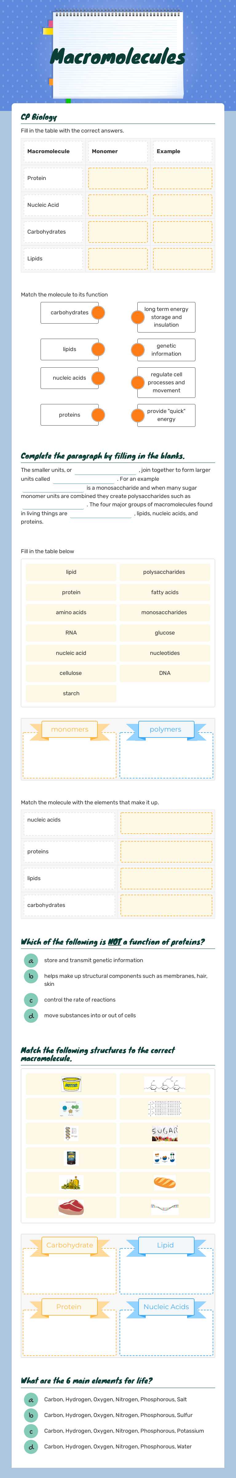 Macromolecules worksheet preview image