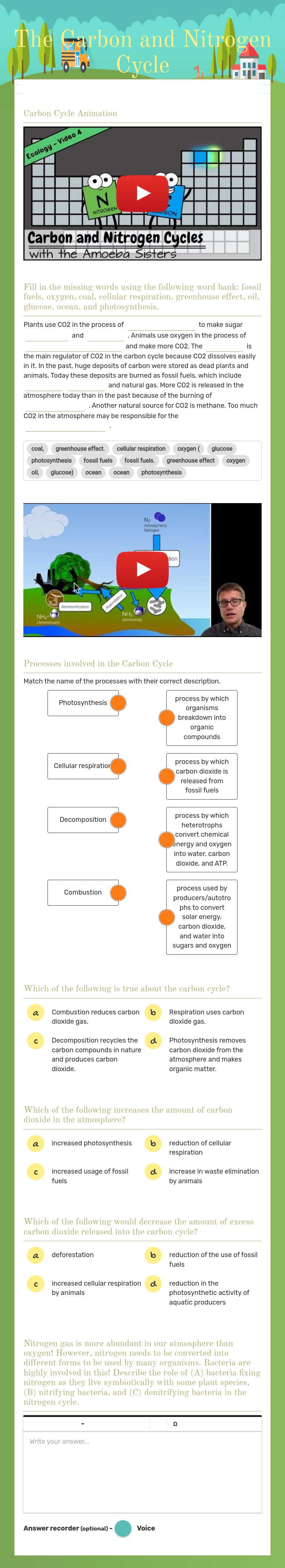 The Carbon and Nitrogen Cycle worksheet preview image
