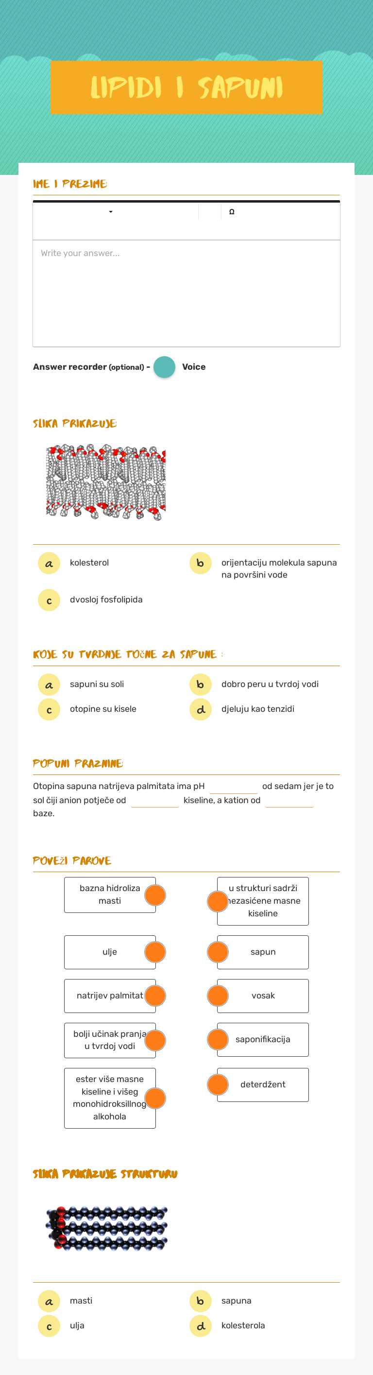 lipidi i sapuni worksheet preview image