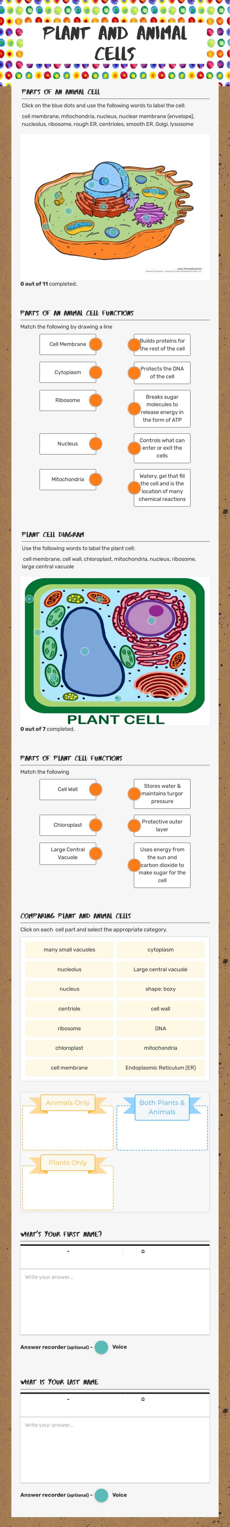 Plant and Animal Cells worksheet preview image