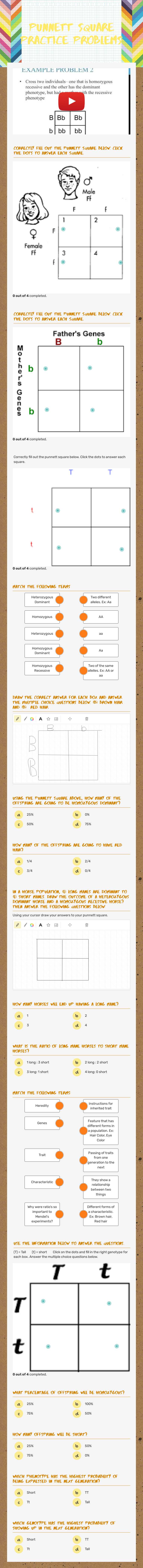 Punnett Square Practice Problems worksheet preview image
