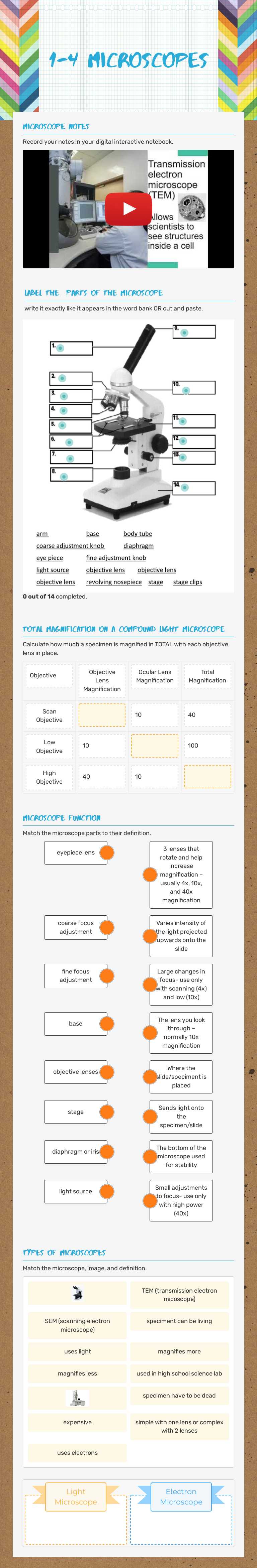 1-4 Microscopes worksheet preview image