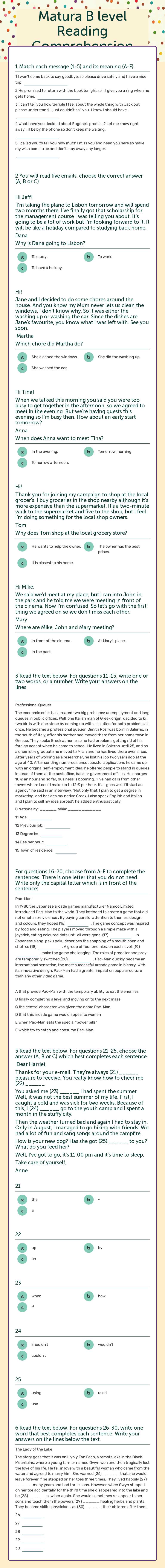 Matura B level Reading Comprehension worksheet preview image