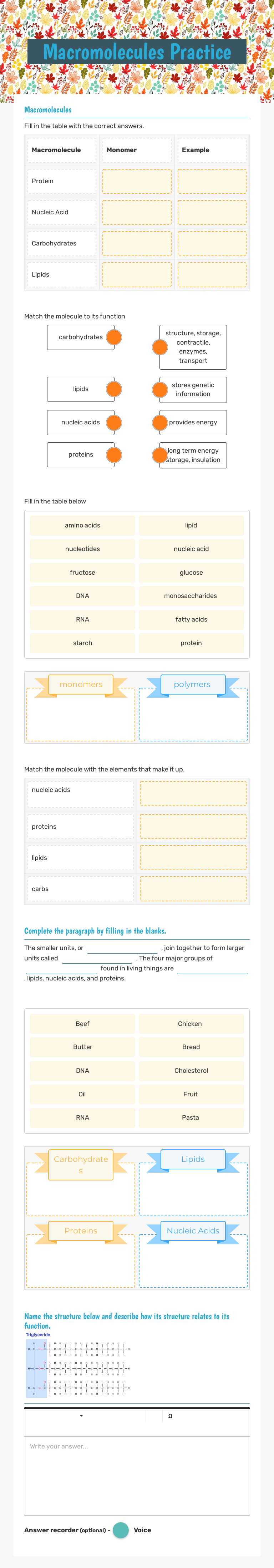 Macromolecules Practice worksheet preview image