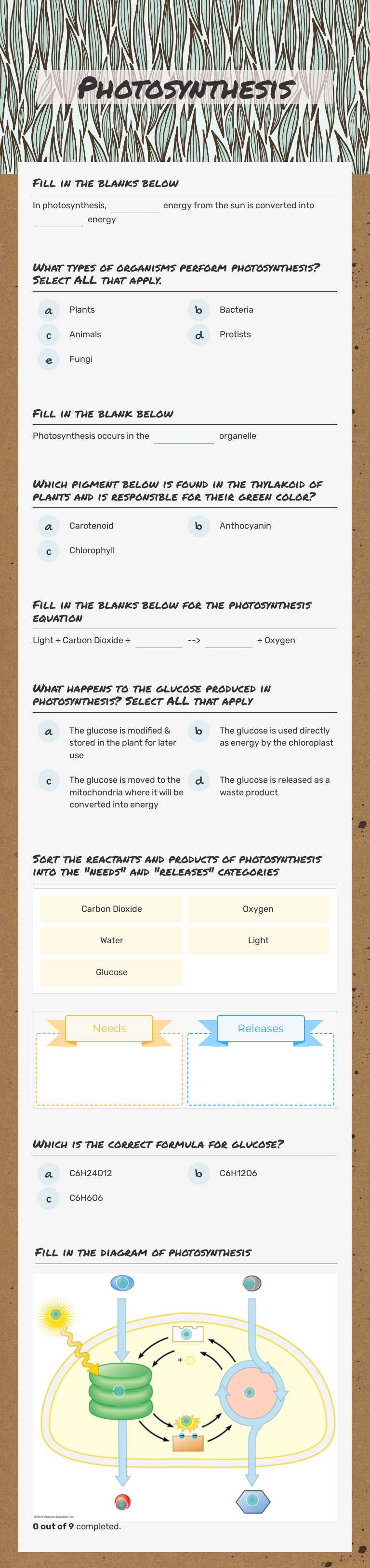 Photosynthesis Grade 10 worksheet preview