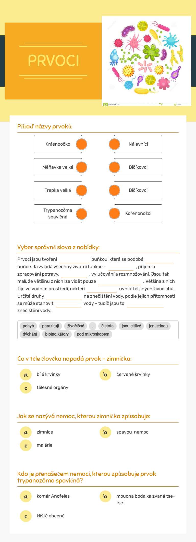 PRVOCI Grade 6 worksheet preview