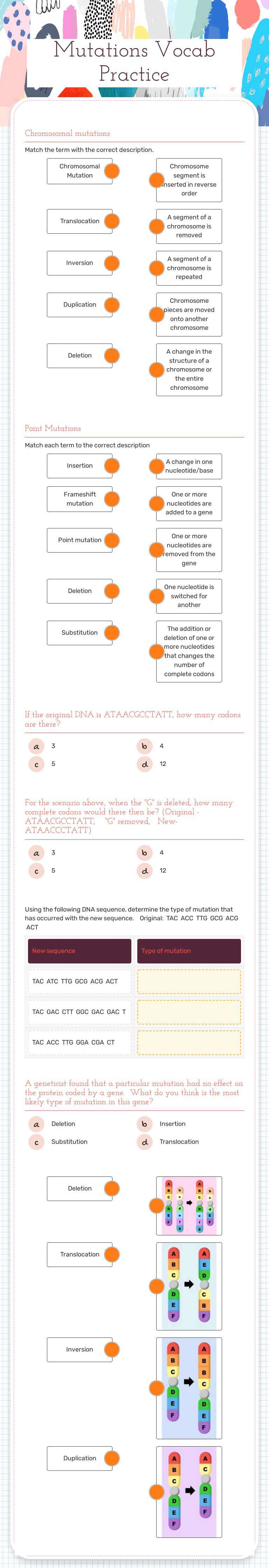 Mutations Vocab Practice worksheet preview image