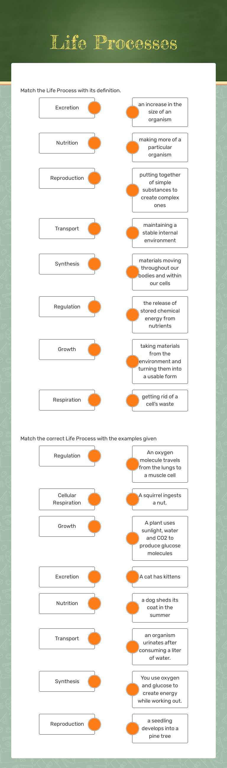 Life Processes Grade 9 worksheet preview