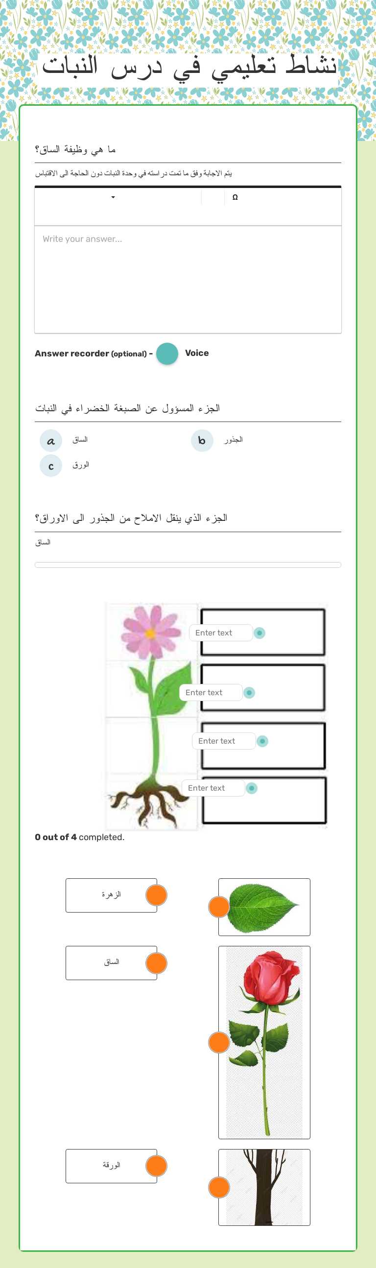 نشاط تعليمي في درس النبات worksheet preview image