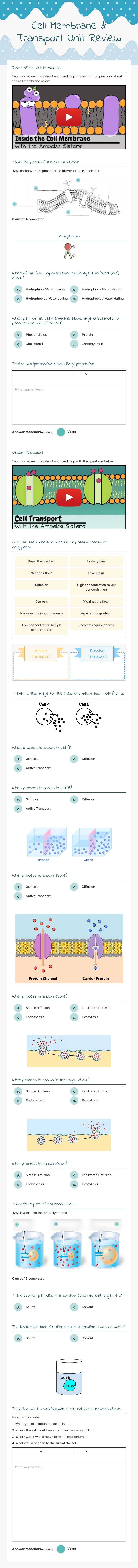 Cell Membrane & Transport Unit Review Grade 9 worksheet preview