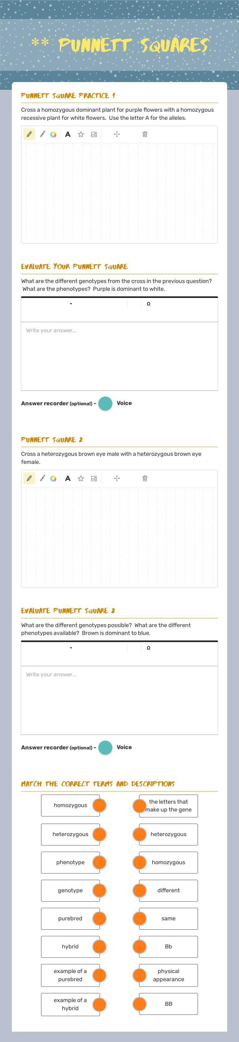 ** PUNNETT SQUARES worksheet preview image
