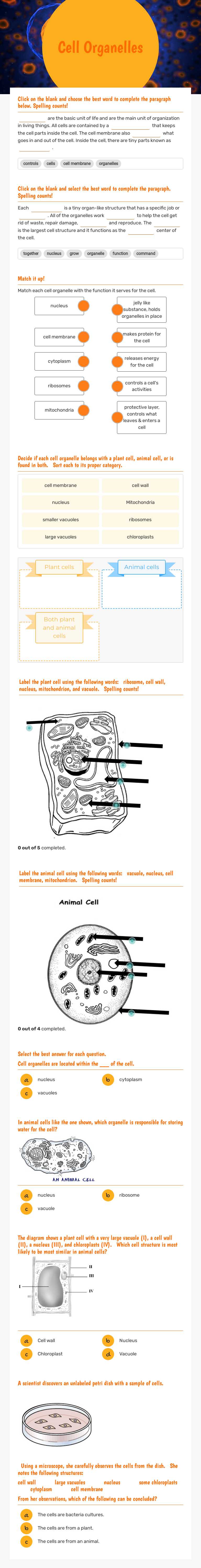 Cell Organelles worksheet preview