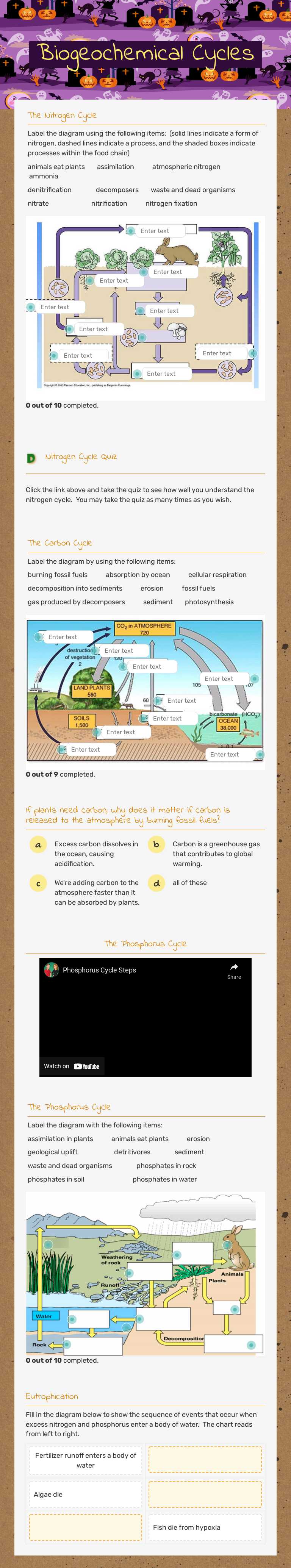 Biogeochemical Cycles worksheet preview image