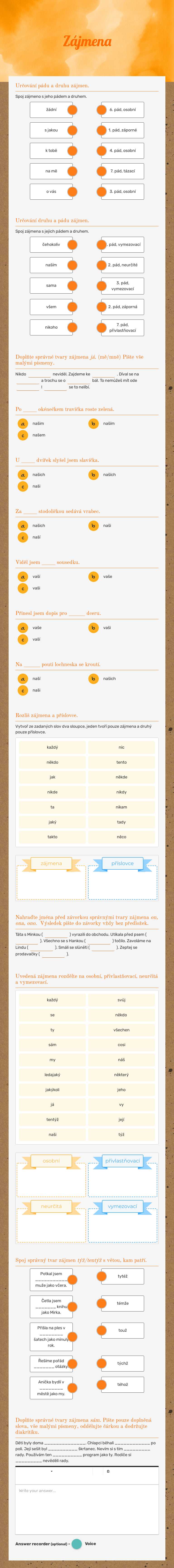Zájmena Grade 6 worksheet preview