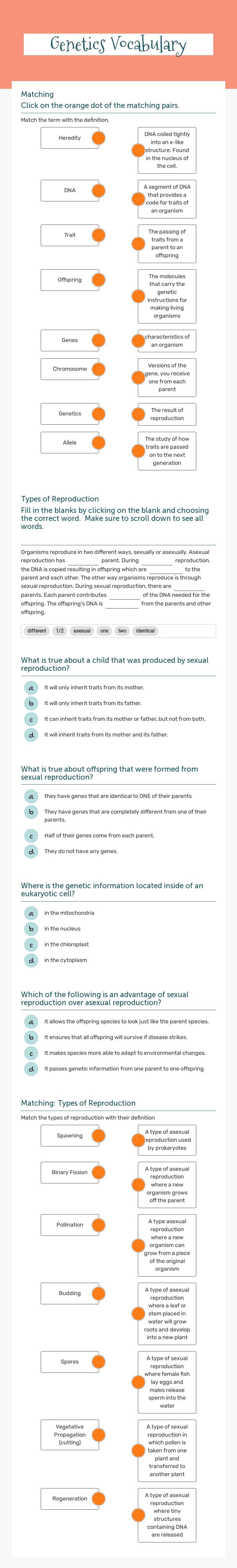Genetics Vocabulary worksheet preview image