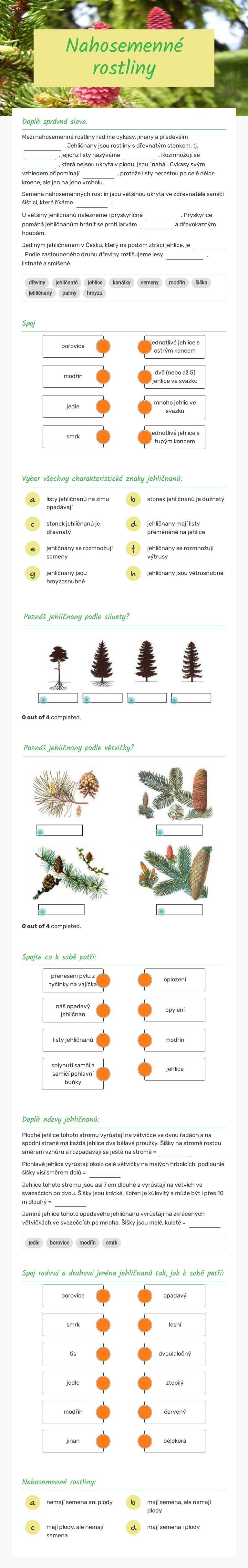 Nahosemenné rostliny worksheet preview image