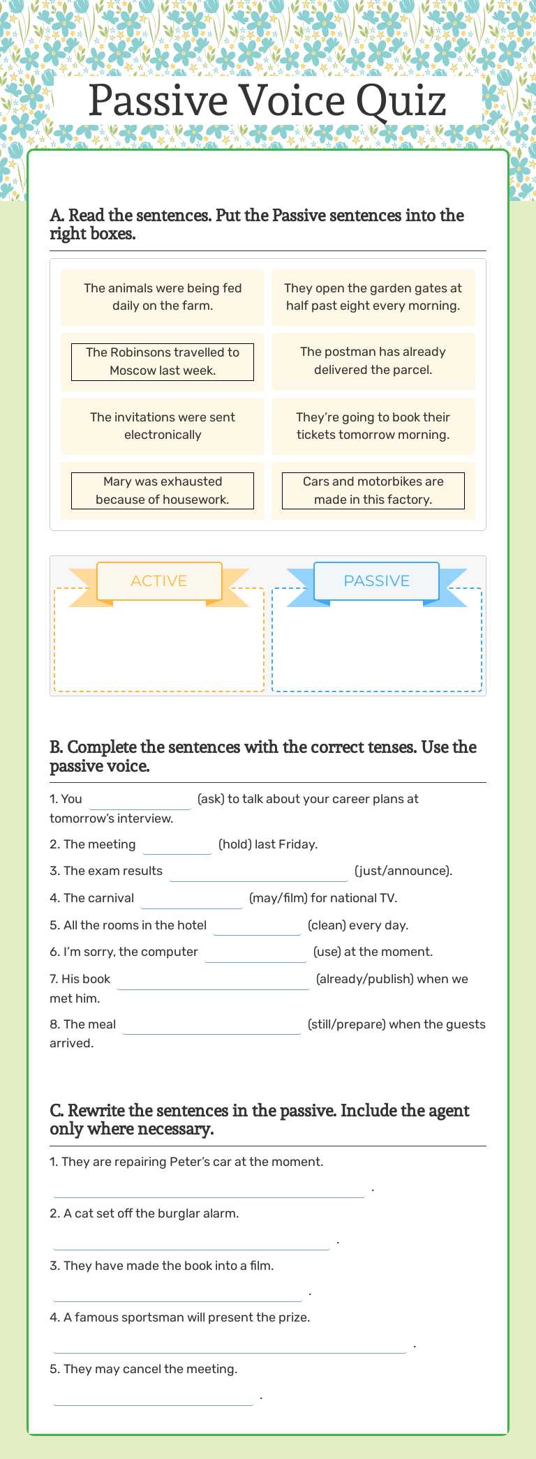 Passive Voice Quiz worksheet preview image