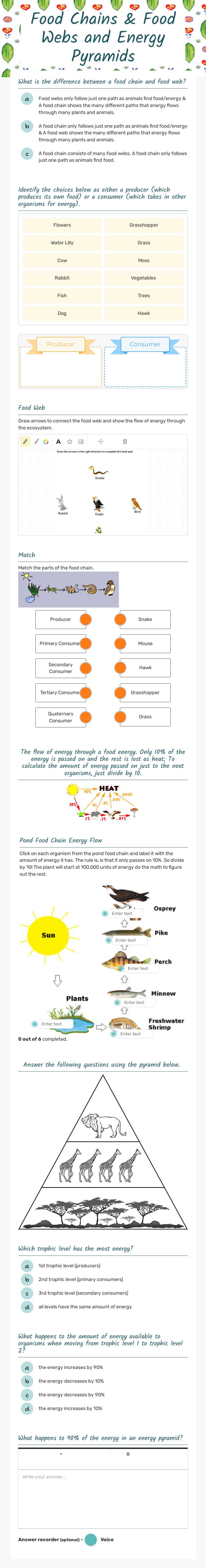 Food Chains & Food Webs and Energy Pyramids worksheet preview image
