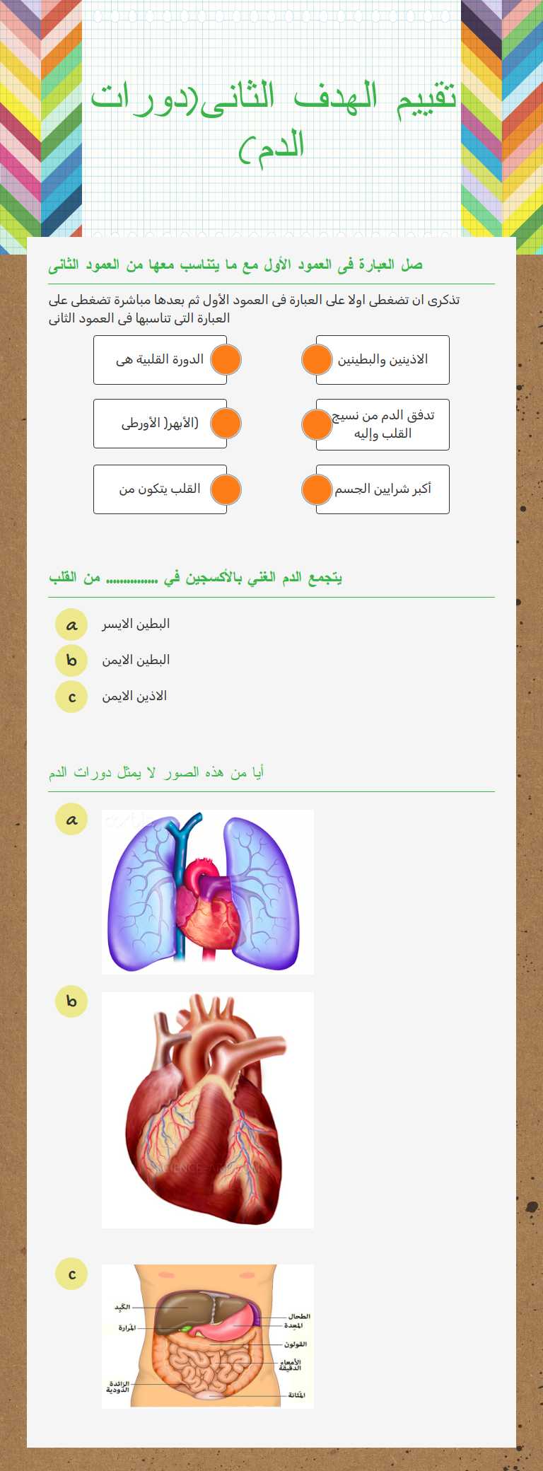 تقييم الهدف الثانى(دورات الدم) worksheet preview image