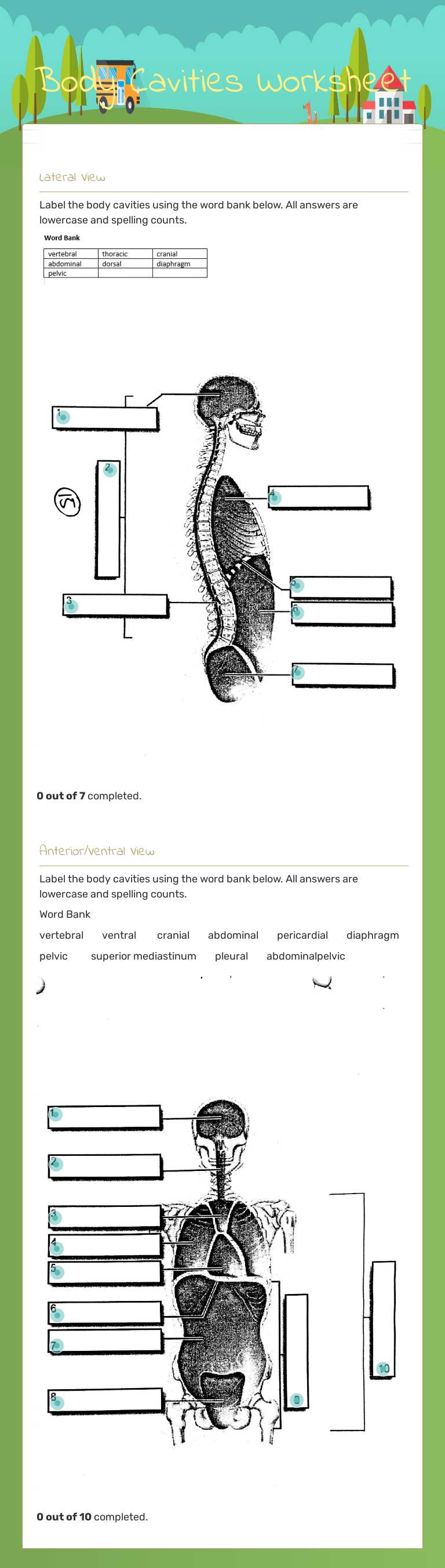 Body Cavities Worksheet Grade 11 worksheet preview