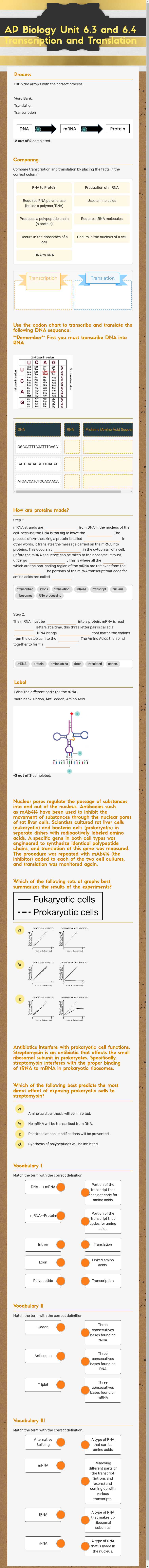 AP Biology Unit 6.3 and 6.4
Transcription and Translation worksheet preview image
