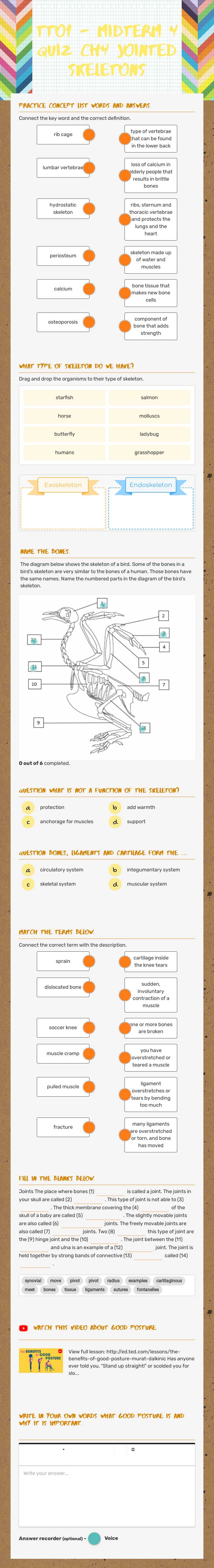 TTO1 - midterm 4 Quiz  Ch4 Jointed skeletons Grade 7 worksheet preview